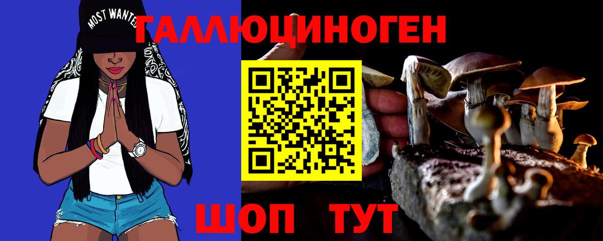 Галлюциногенные грибы Psilocybine cubensis Ставрополь